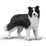 Todo Lo Que Necesitas Saber Sobre la Adopción de Cachorros Border Collie: Análisis y Comparativa de los Mejores Productos para Su Cuidado Todo Lo Que Necesitas Saber Sobre la Adopción de Cachorros Border Collie: Análisis y Comparativa de los Mejores Productos para Su Cuidado