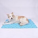 Las Mejores Mantitas Refrescantes para Perros: Análisis y Comparativa de los Productos Más Efectivos